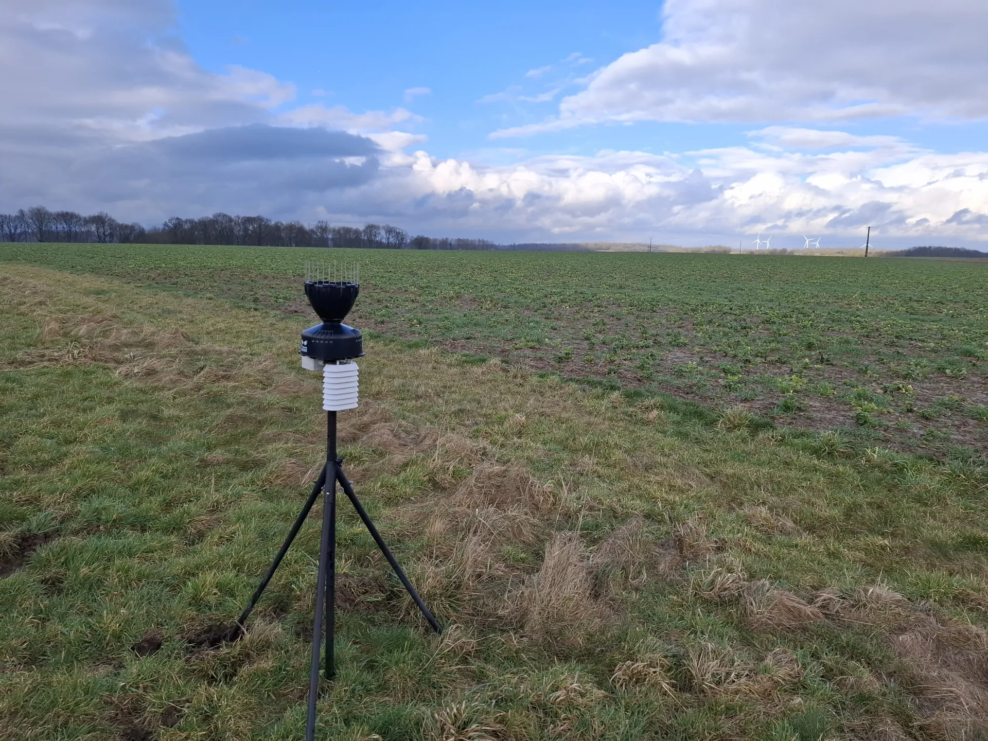 station meteo en wallonie