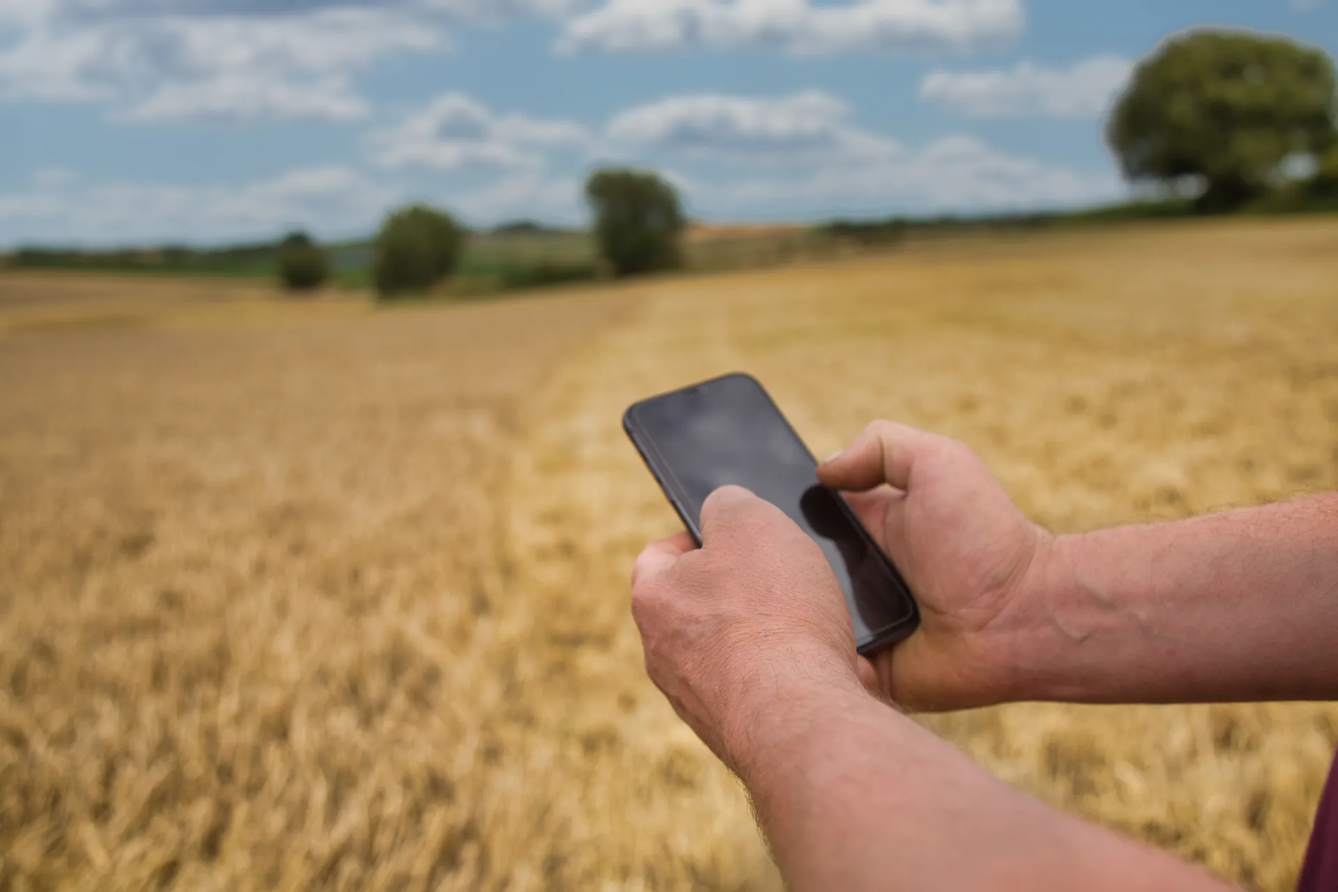 tracabilit&eacute; &eacute;lectronique