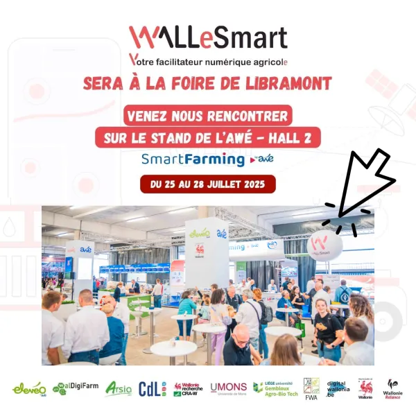 wallesmart.png